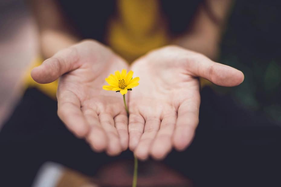 Woman holds yellow-petaled flowers, symbolising estate income that may require SA107.
